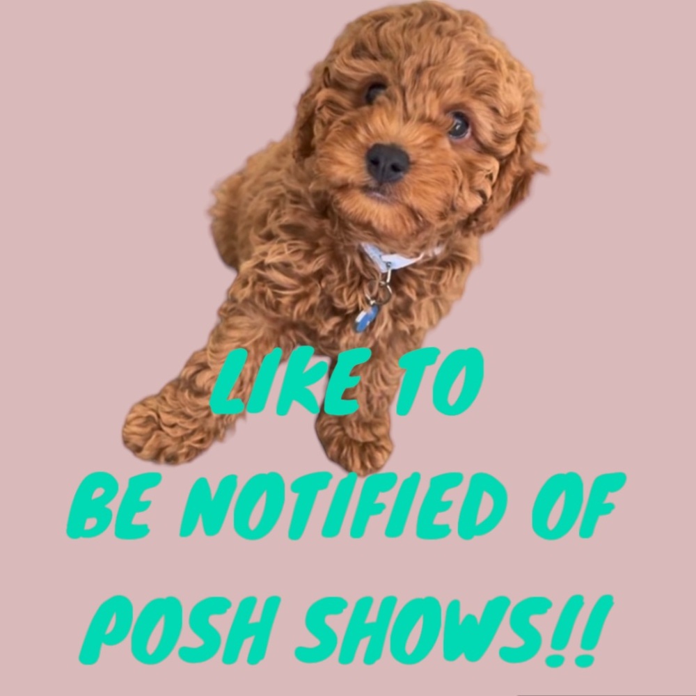 LIKE TO BE NOTIFIED OF LIVE POP UP SHOWS! STOP BY FOR GREAT DEALS & STEALS!😍😍